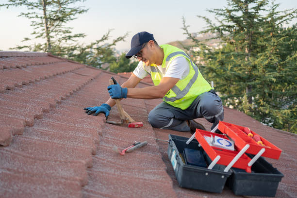 Best Roof Gutter Cleaning  in Palmer, TX